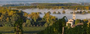 Saint Emilion landscape