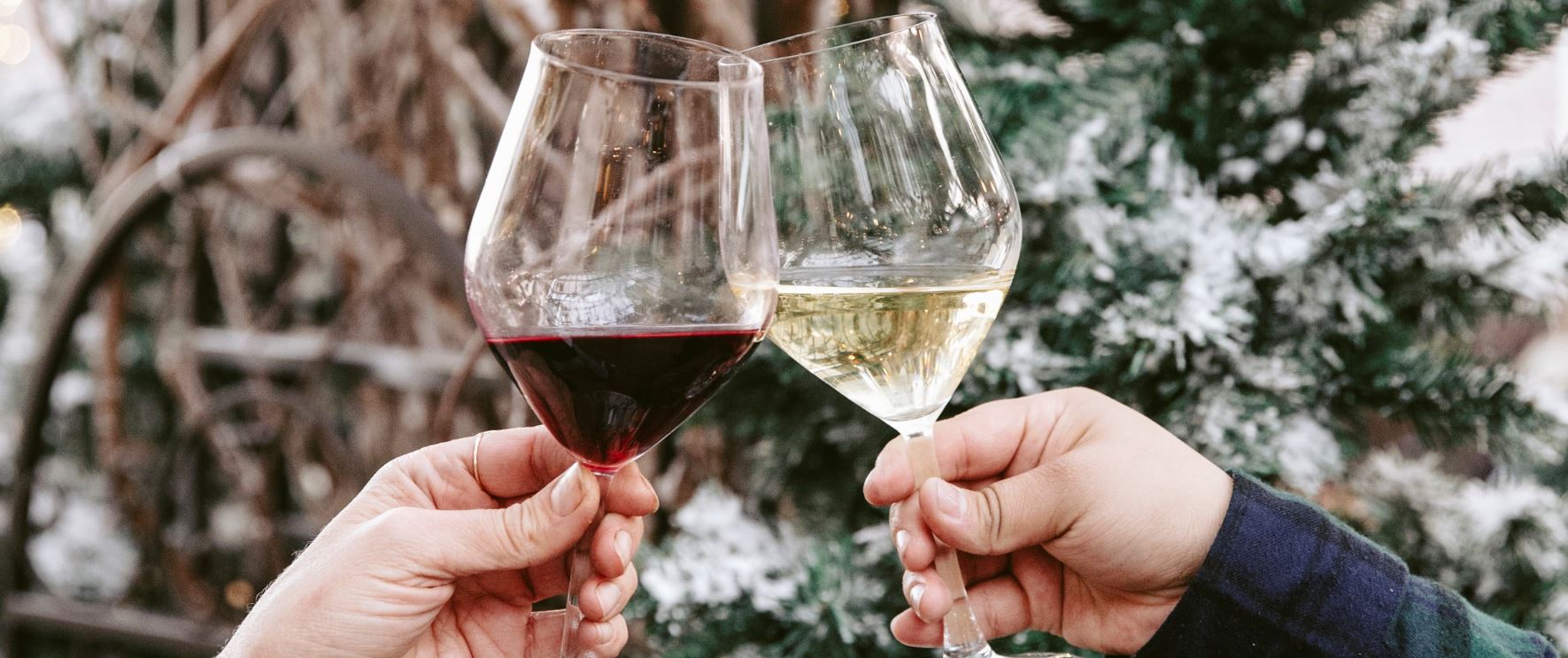 5 Tips for Choosing the Best Wines for Your Christmas Meal
